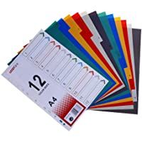 STOBOK A4 Dividers colores Separadores de índice index tab para carpeta y cuaderno- divisores mensuales- 1 juego